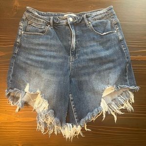 Risen High Rise Frayed Denim Shorts Medium Wash 1XL